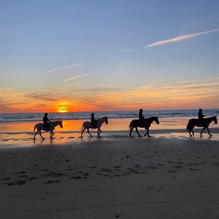 Holiday home Playa La Barrosa, Chiclana